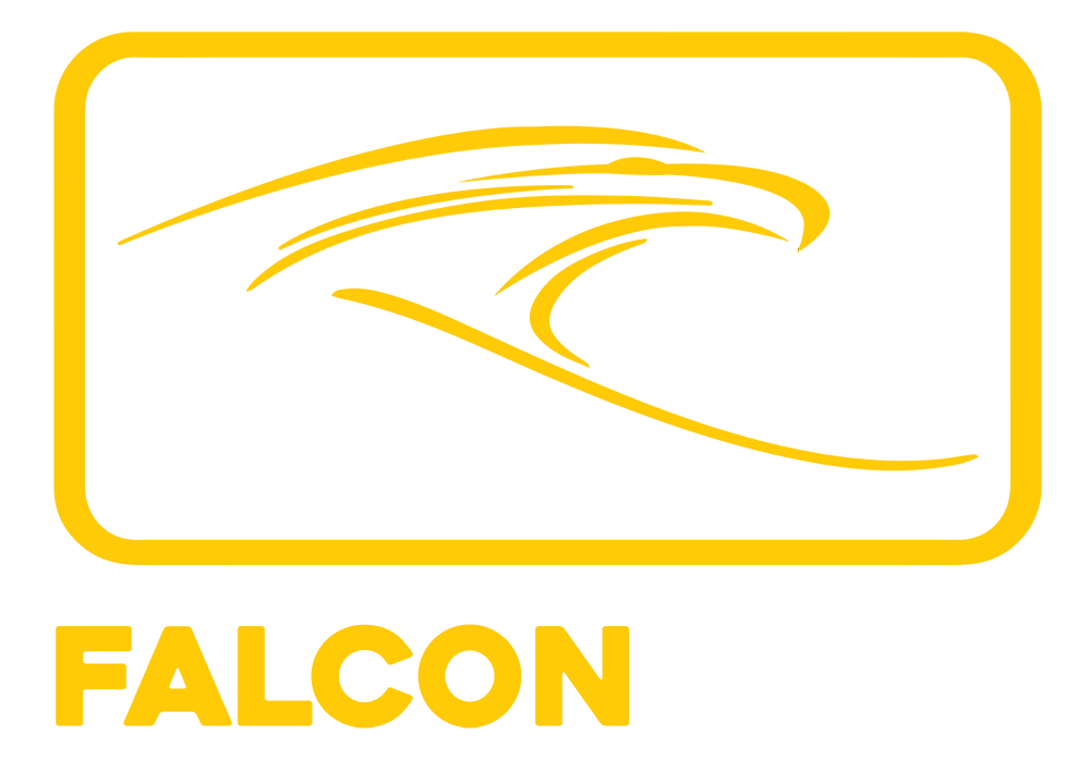 falcon-visa-logo.webp